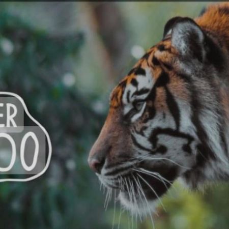 The Beautiful Bungalow Amazing Location For Chester & Zoo Wervin Екстериор снимка